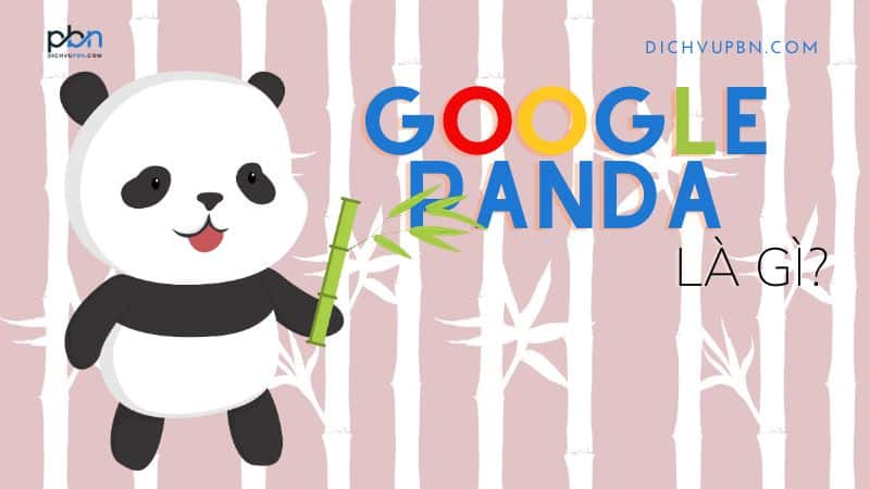 Google panda là gì