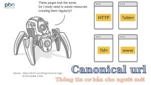 Canonical url và các thông tin cơ bản cần biết