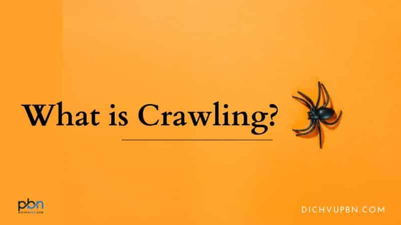 Crawling là gì